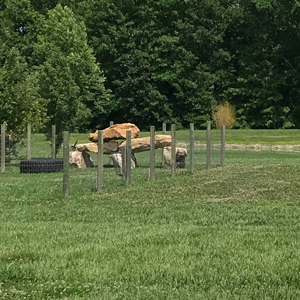 Meet your Posher, Dawn